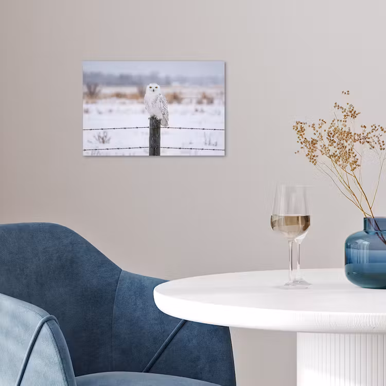 Sneeuwuil - Hek - Sneeuw - Wit poster papier klein -sfeer3
