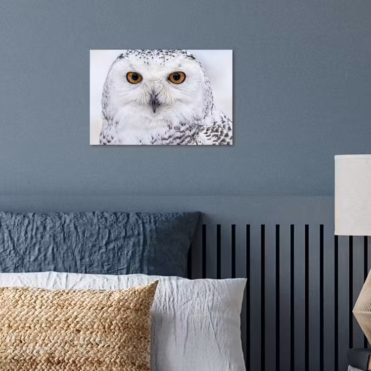Sneeuwuil - Oog - Wildlife - Wit poster papier klein -sfeer2