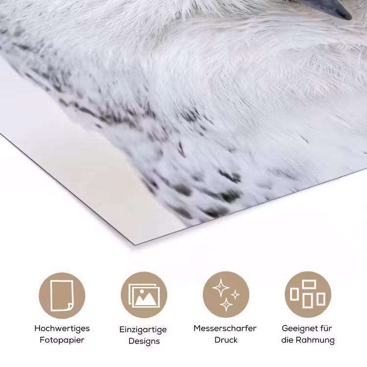 Sneeuwuil - Oog - Wildlife - Wit poster papier klein -tcloseup_DE
