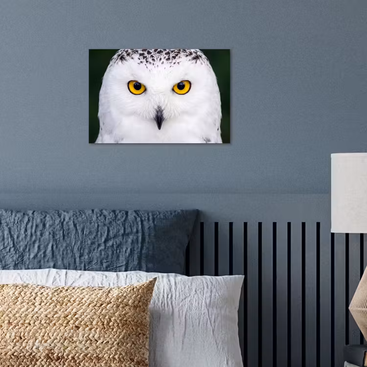 Sneeuwuil - Portret - Geel poster papier klein -sfeer2