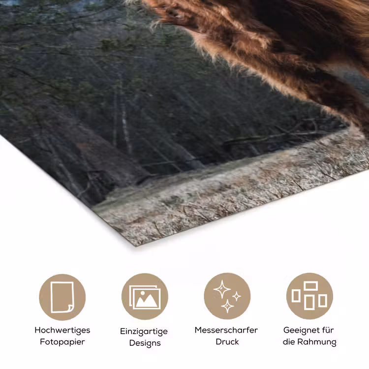 Schotse hooglander - Berg - Landschap - Bomen - Koe - Natuur poster papier klein -tcloseup_DE