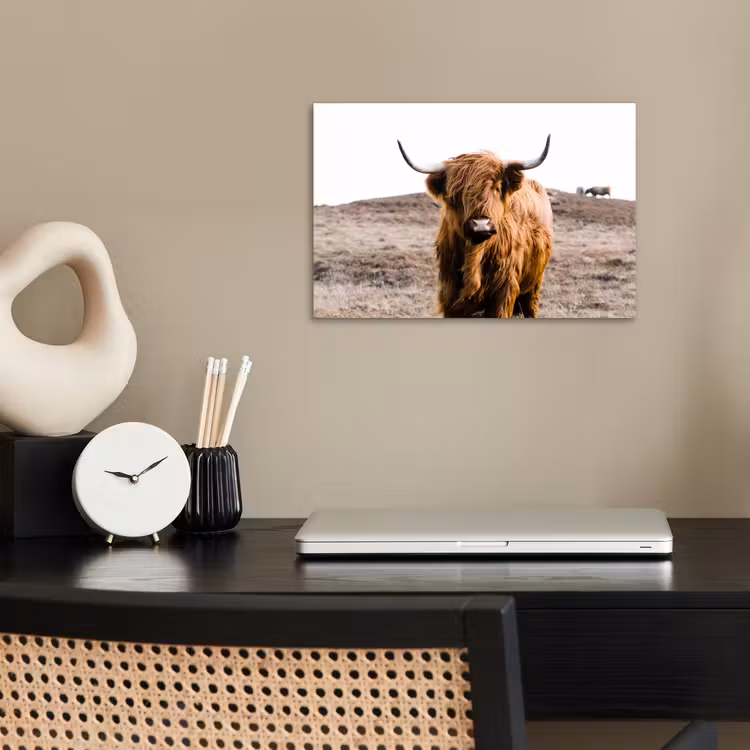 Schotse hooglander - Landschap - Koe - Bruin - Dieren - Natuur poster papier klein -sfeer1