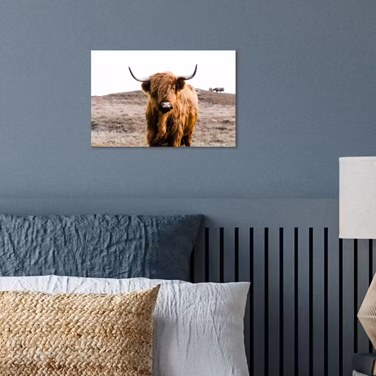 Schotse hooglander - Landschap - Koe - Bruin - Dieren - Natuur poster papier klein -sfeer2