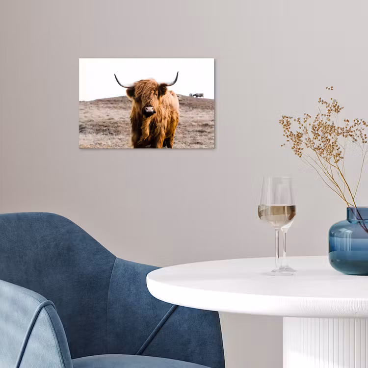 Schotse hooglander - Landschap - Koe - Bruin - Dieren - Natuur poster papier klein -sfeer3