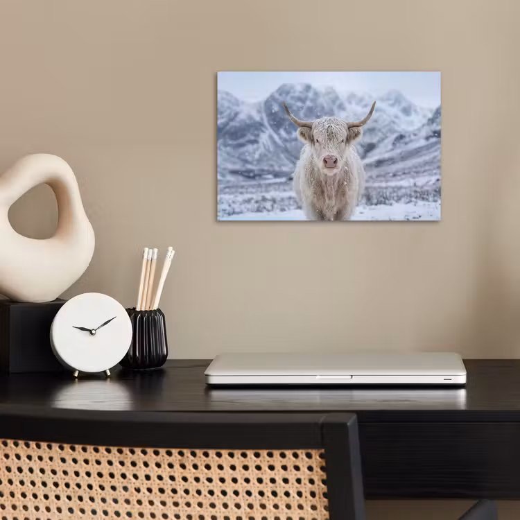 Schotse Hooglander - Sneeuw - Bergen - Winter poster papier klein -sfeer1