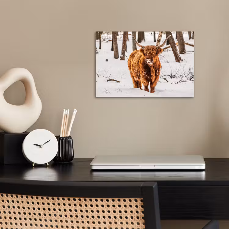 Schotse Hooglander - Sneeuw - Winter - Natuur - Dieren poster papier klein -sfeer1