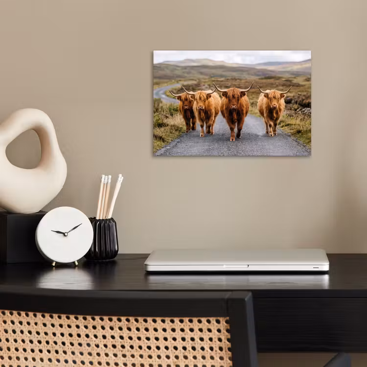 Schotse Hooglanders - Weg - Landschap - Kudde poster papier klein -sfeer1