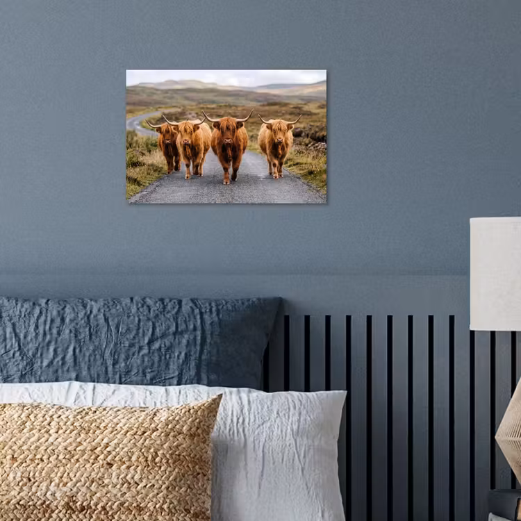 Schotse Hooglanders - Weg - Landschap - Kudde poster papier klein -sfeer2