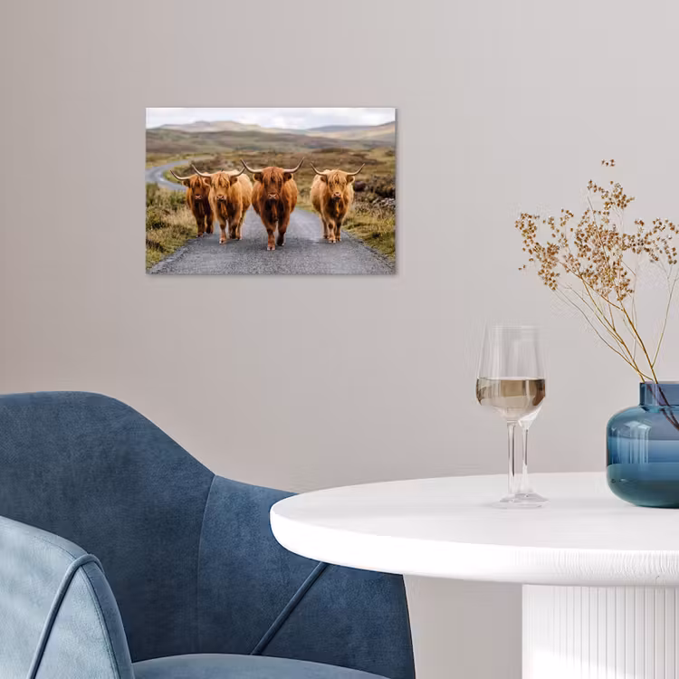 Schotse Hooglanders - Weg - Landschap - Kudde poster papier klein -sfeer3
