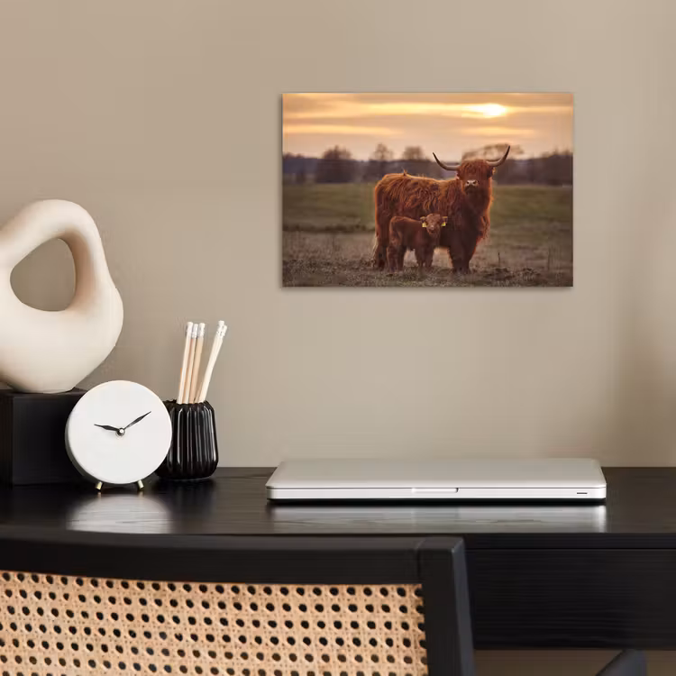 Schotse hooglander - Dieren - Landschap - Zonsondergang - Koe poster papier klein -sfeer1