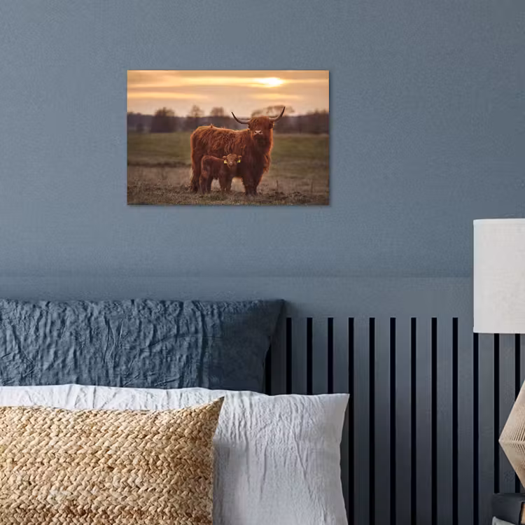 Schotse hooglander - Dieren - Landschap - Zonsondergang - Koe poster papier klein -sfeer2