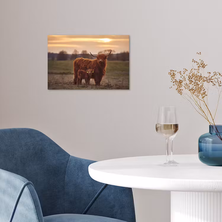 Schotse hooglander - Dieren - Landschap - Zonsondergang - Koe poster papier klein -sfeer3