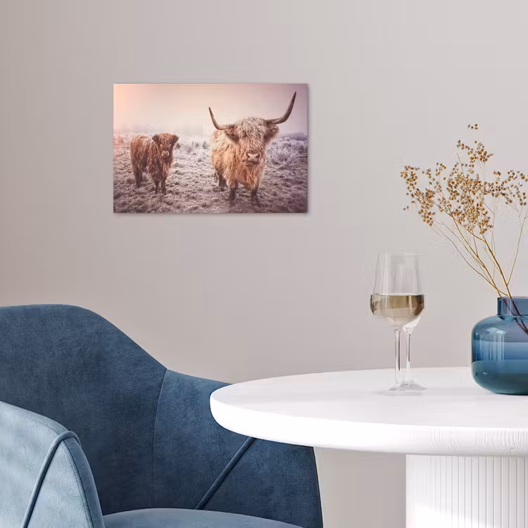 Schotse hooglanders - Licht - Lucht - Natuur poster papier klein -sfeer3