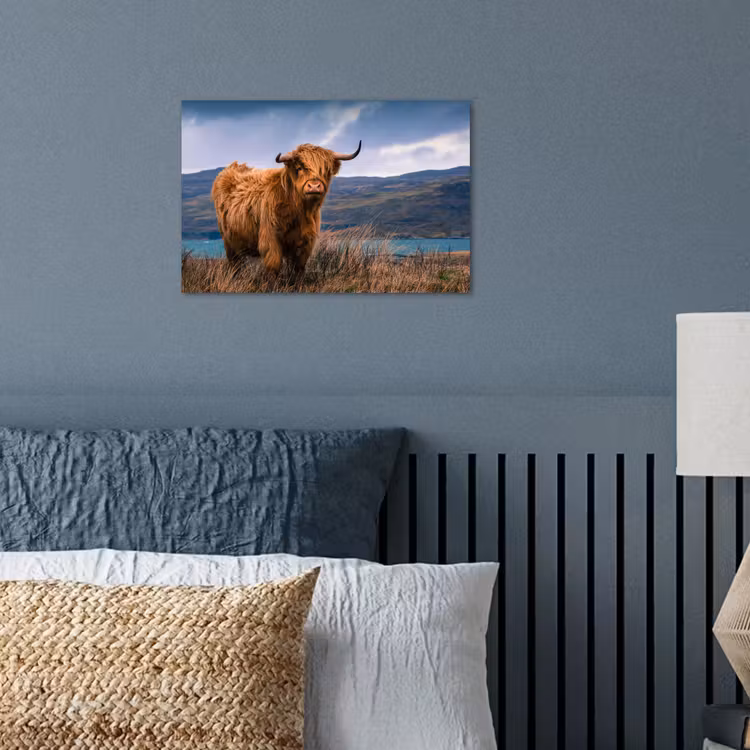 Schotse Hooglander - Berg - Water - Natuur - Koe poster papier klein -sfeer2