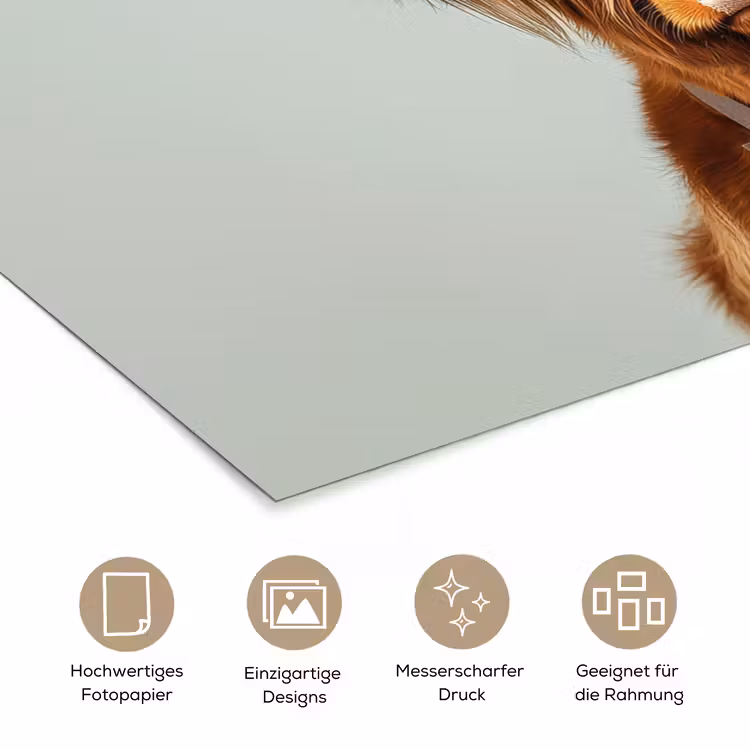 Schotse Hooglander - Bruin - Hoorns - Kokskleding poster papier klein -tcloseup_DE