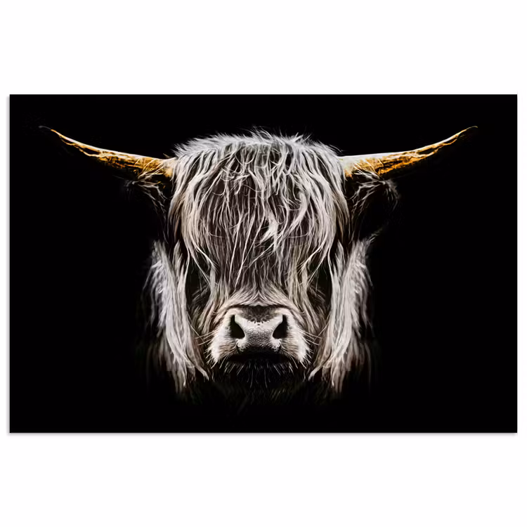 Schotse hooglander - Goud - Hoorns - Zwart wit - Koe - Dieren poster papier klein -3d