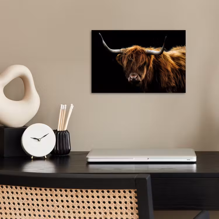 Schotse Hooglander - Horens - Zwart - Dieren - Natuur - Wild - Koe poster papier klein -sfeer1