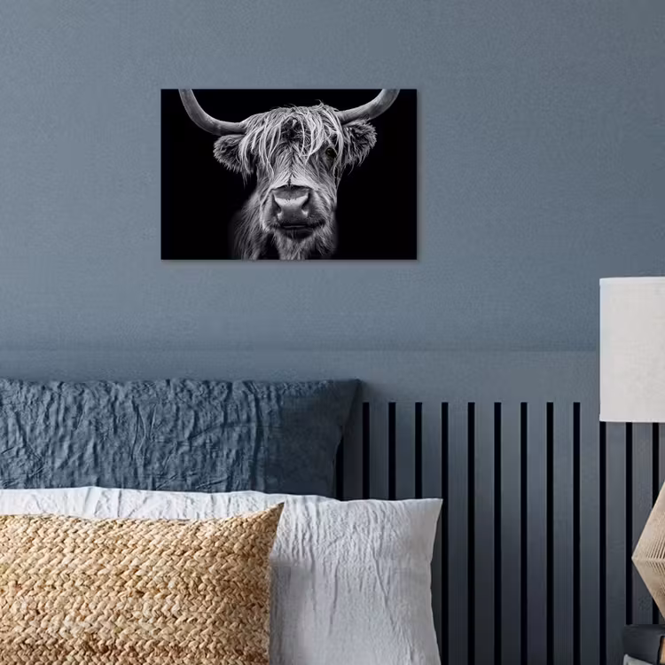 Schotse Hooglander - Horens - Zwart - Wit - Koe - Wild - Dieren poster papier klein -sfeer2