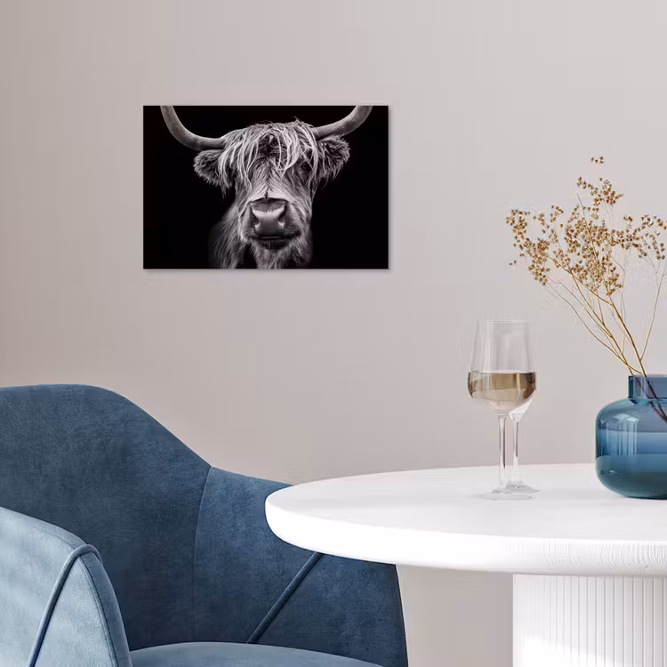 Schotse Hooglander - Horens - Zwart - Wit - Koe - Wild - Dieren poster papier klein -sfeer3