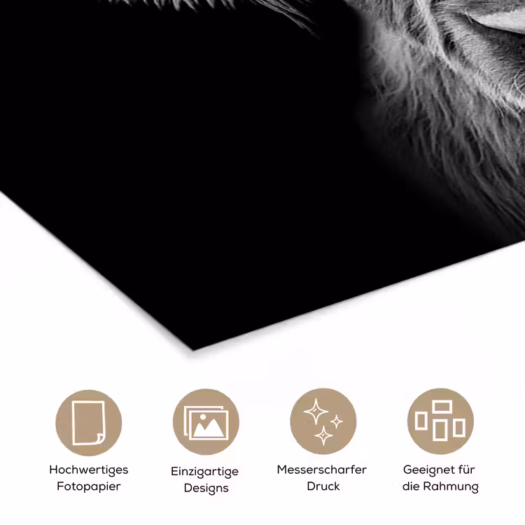 Schotse Hooglander - Horens - Zwart - Wit - Koe - Wild - Dieren poster papier klein -tcloseup_DE