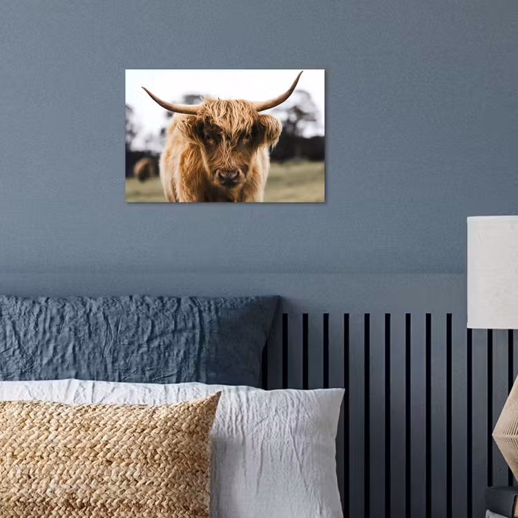 Schotse Hooglander - Koe - Gras - Dieren - Natuur poster papier klein -sfeer2