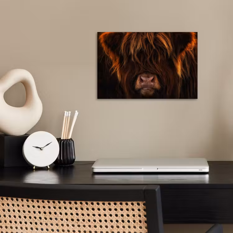 Schotse Hooglander - Koe - Portret - Dieren poster papier klein -sfeer1