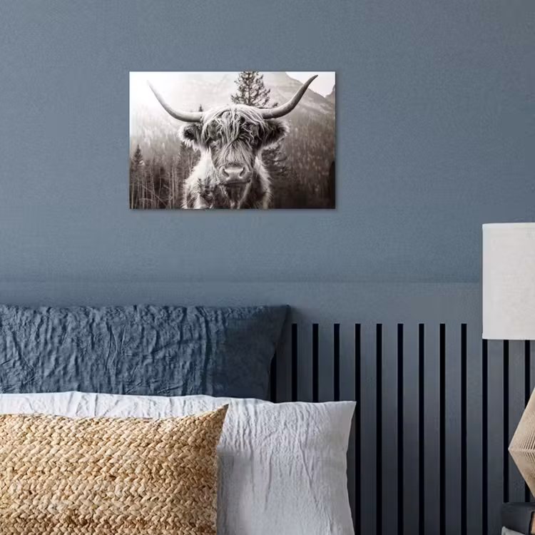 Schotse hooglander - Koe - Dieren - Zwart - Wit poster papier klein -sfeer2