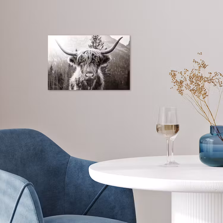 Schotse hooglander - Koe - Dieren - Zwart - Wit poster papier klein -sfeer3