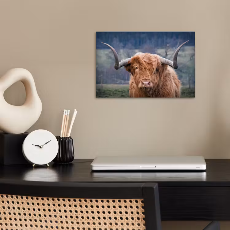 Schotse Hooglander - Koeienkop - Landschap - Natuur - Koe poster papier klein -sfeer1
