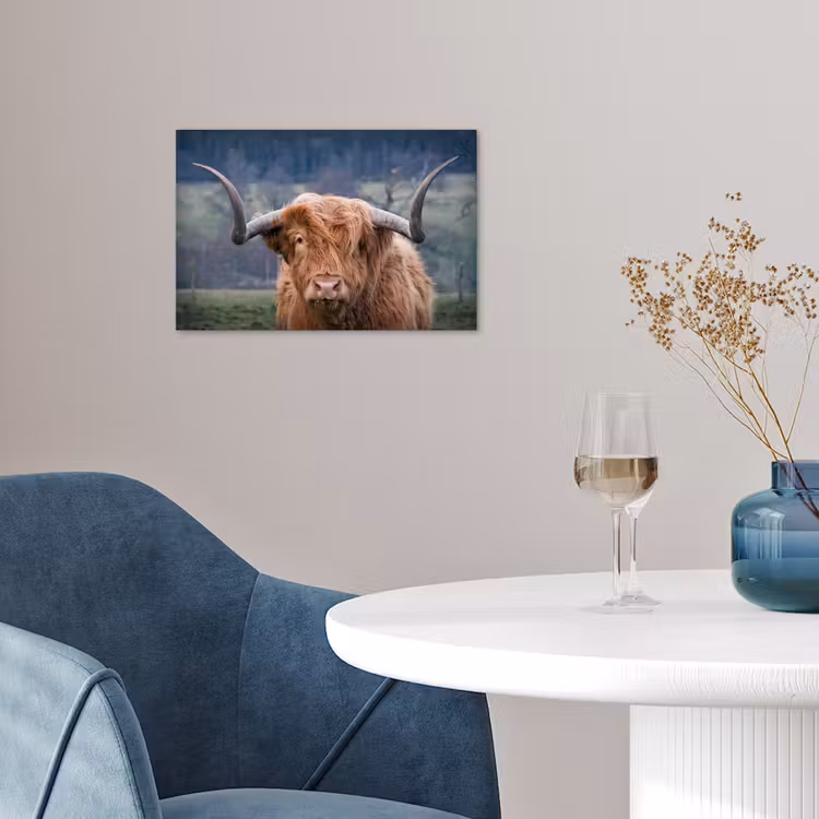 Schotse Hooglander - Koeienkop - Landschap - Natuur - Koe poster papier klein -sfeer3