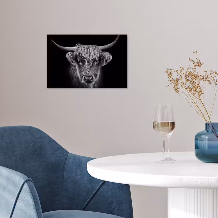 Schotse hooglander - Zwart - Koe - Dieren poster papier klein -sfeer3