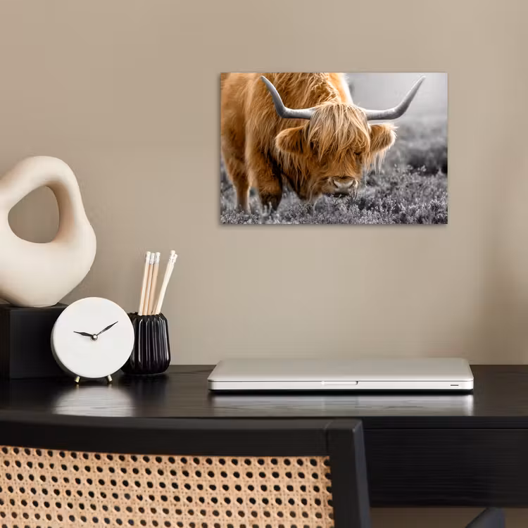 Schotse Hooglander - Dieren - Bruin - Koe - Zwart - Wit - Natuur poster papier klein -sfeer1