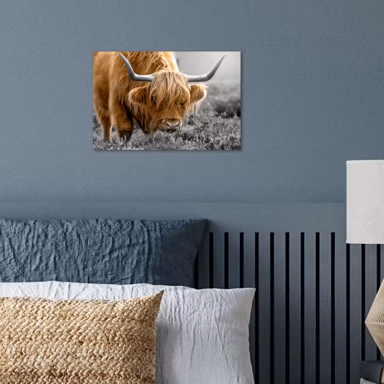 Schotse Hooglander - Dieren - Bruin - Koe - Zwart - Wit - Natuur poster papier klein -sfeer2