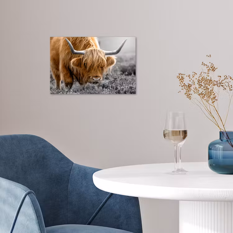 Schotse Hooglander - Dieren - Bruin - Koe - Zwart - Wit - Natuur poster papier klein -sfeer3