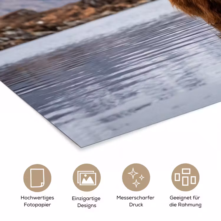 Schotse hooglander - Bruin - Water poster papier klein -tcloseup_DE