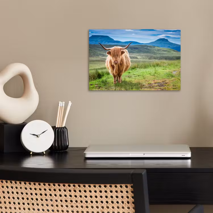 Schotse hooglander - Koe - Natuur - Berg - Gras poster papier klein -sfeer1