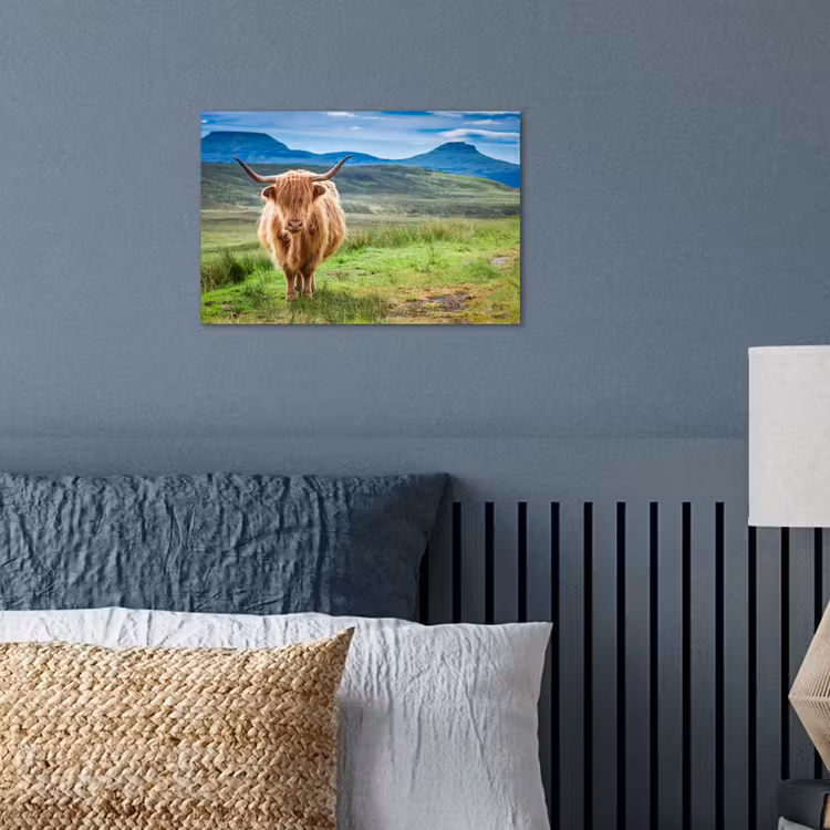 Schotse hooglander - Koe - Natuur - Berg - Gras poster papier klein -sfeer2