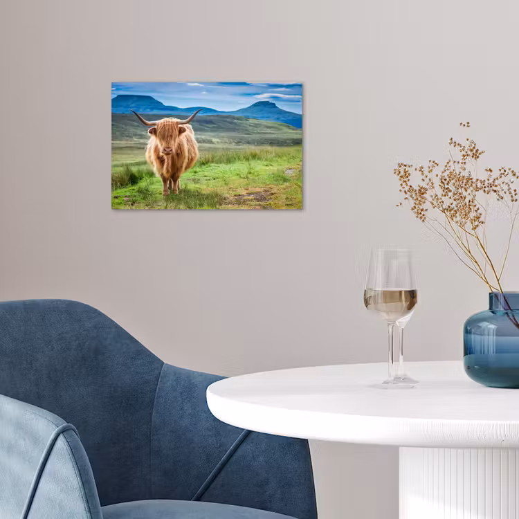 Schotse hooglander - Koe - Natuur - Berg - Gras poster papier klein -sfeer3