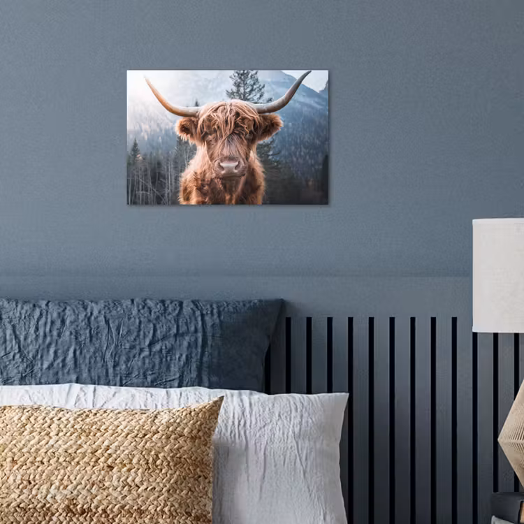 Schotse hooglander - Koe - Dieren - Berg - Natuur poster papier klein -sfeer2
