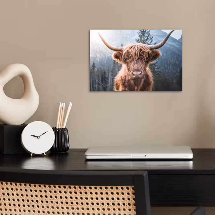 Schotse hooglander - Koe - Dieren - Berg - Natuur poster papier klein -sfeer1