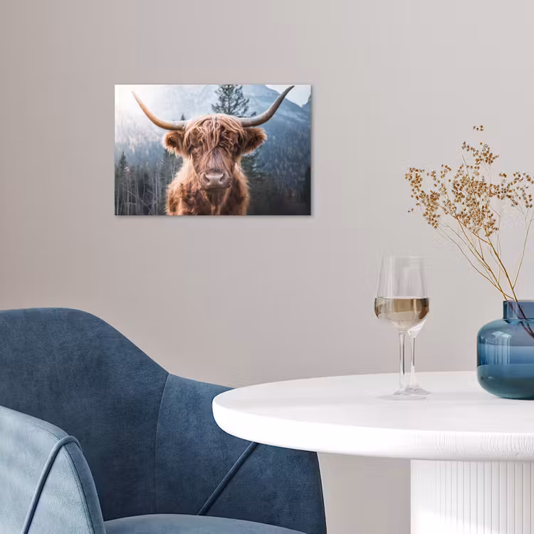 Schotse hooglander - Koe - Dieren - Berg - Natuur poster papier klein -sfeer3