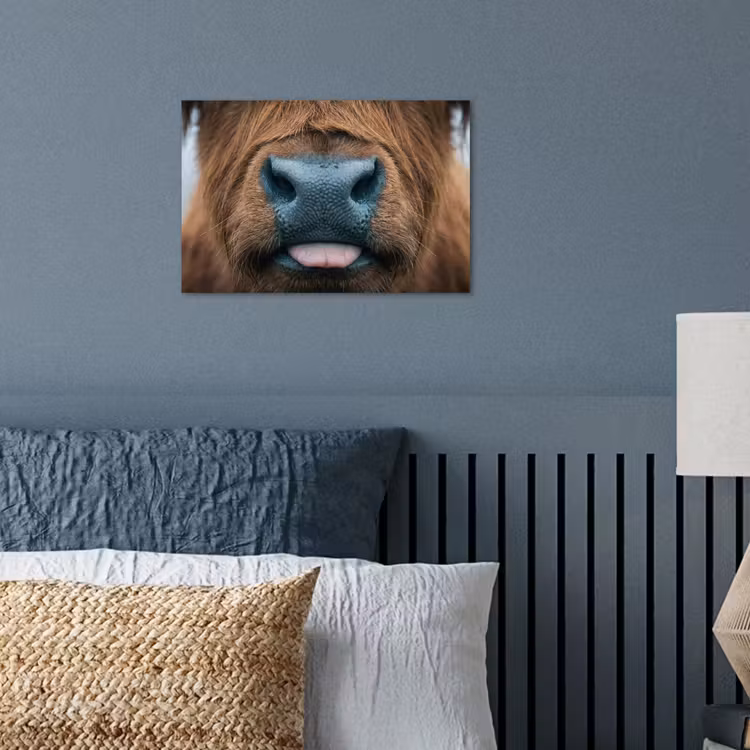 Schotse hooglander - Neus - Bruin poster papier klein -sfeer2