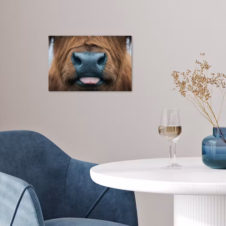 Schotse hooglander - Neus - Bruin poster papier klein -sfeer3