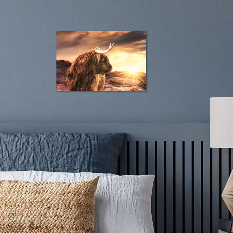 Schotse hooglander - Zon - Horizon - Koe - Dieren poster papier klein -sfeer2