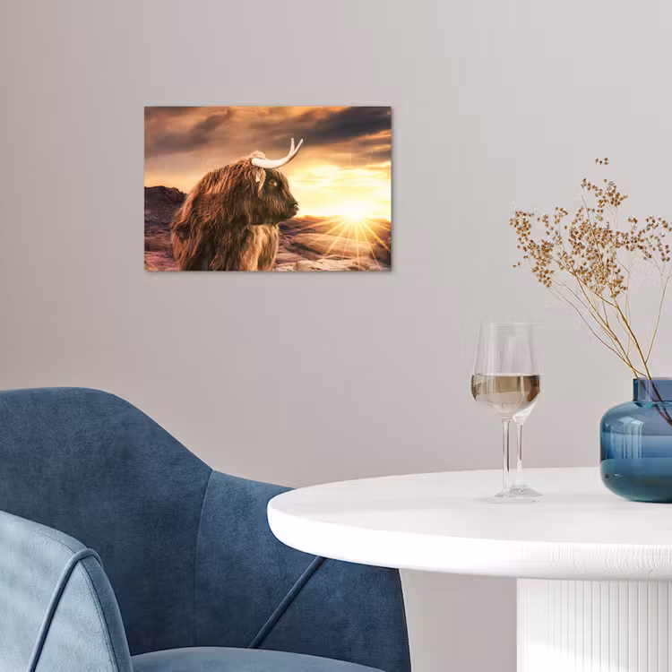 Schotse hooglander - Zon - Horizon - Koe - Dieren poster papier klein -sfeer3