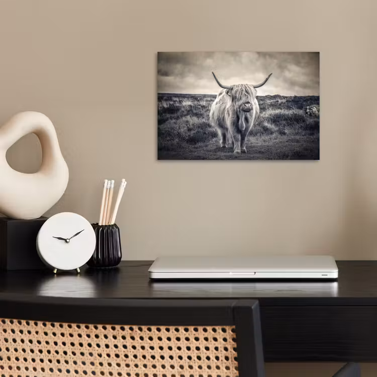Schotse hooglander - Dieren - Wolken - Koe - Natuur poster papier klein -sfeer1