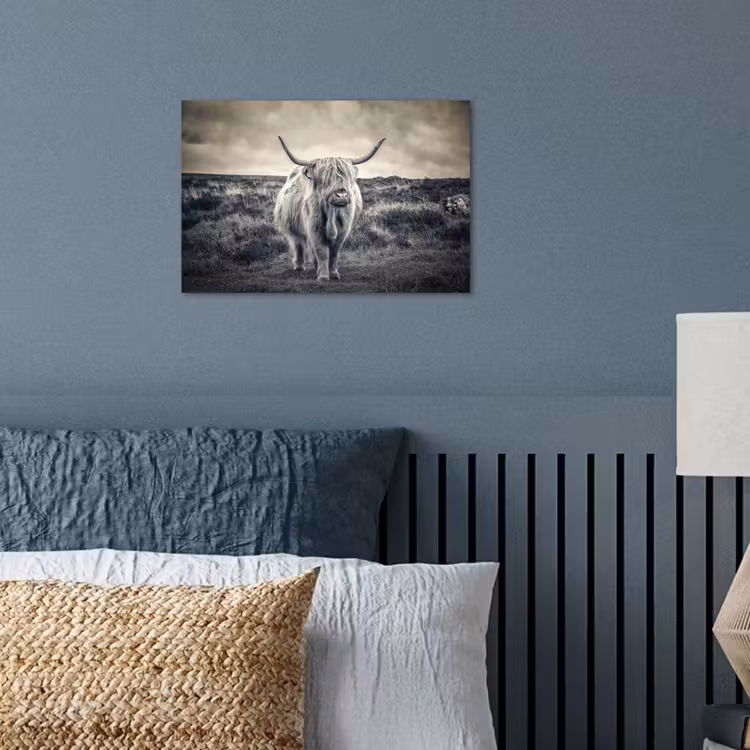 Schotse hooglander - Dieren - Wolken - Koe - Natuur poster papier klein -sfeer2