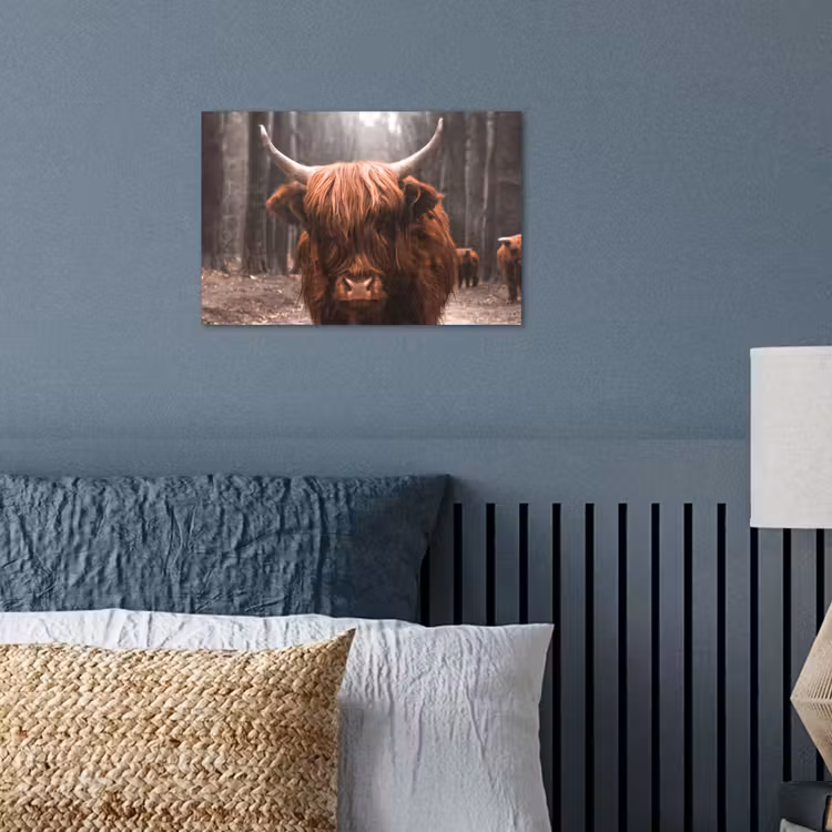 Schotse hooglander - Bos - Koe - Dieren - Natuur poster papier klein -sfeer2