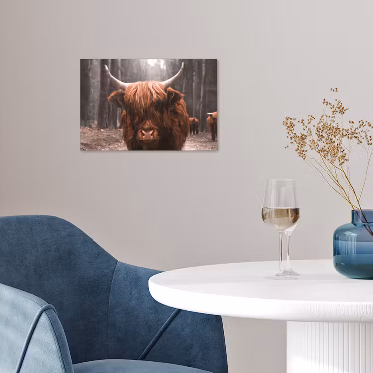 Schotse hooglander - Bos - Koe - Dieren - Natuur poster papier klein -sfeer3