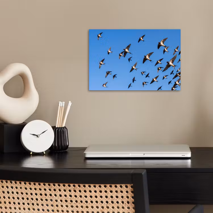 Zwaluwen - Vliegen - Blauw poster papier klein -sfeer1